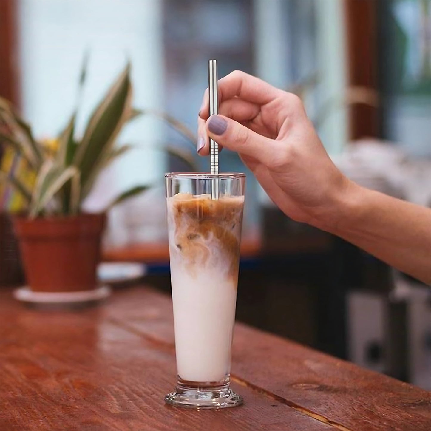 Set of 4 Reusable Stainless Steel Drinking Straws with Cleaning Brush (2 Straight + 2 Bent + 1 Brush)